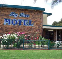 Fig Tree Motel - Accommodation Mt Buller