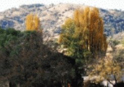 Weabonga NSW Accommodation Mt Buller