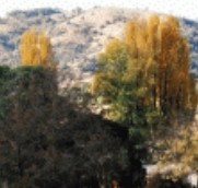 Birches Bed and Breakfast at Nundle - Accommodation Mt Buller