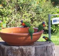 Lamb Island Bed and Breakfast - Accommodation Mt Buller