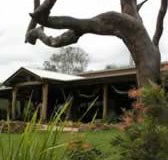 The Hollow Log Country Retreat - Accommodation Mt Buller