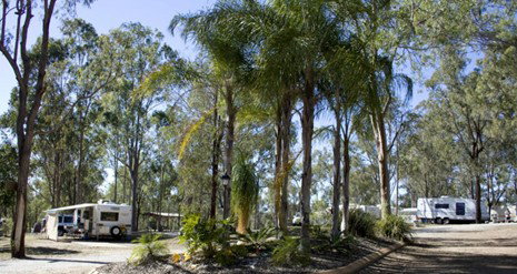 Barambah Bush Caravan Park - Accommodation Mt Buller 1