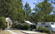 Barambah Bush Caravan Park - thumb 2