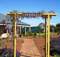 Lavendale Farmstay and Cottages - Accommodation Mt Buller