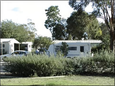Banksia Tourist Park - Accommodation Mt Buller 3