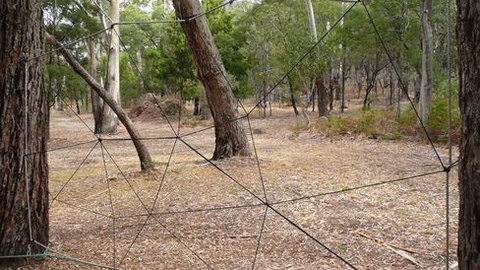 UC Camping Norval - Accommodation Mt Buller 4