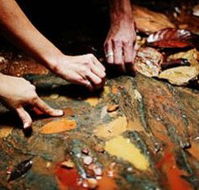 Daintree Eco Lodge And Spa - Accommodation Mt Buller