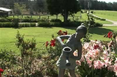 Jacaranda Country Lodge - Accommodation Mt Buller 2