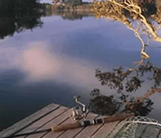 Jacaranda Country Lodge - Accommodation Mt Buller 4