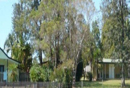 Nimbin NSW Accommodation Mt Buller