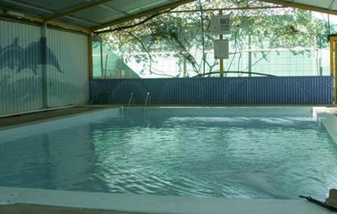 Wycliffe Well Holiday Park - Accommodation Mt Buller 1