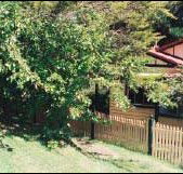 Apple Tree Cottage - Accommodation Mt Buller