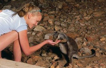 Heaviytrr Gap Outback Lodge - Accommodation Mt Buller 5