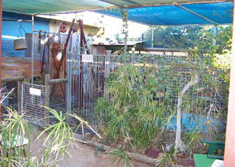 Safari Lodge Motel - Accommodation Mt Buller 1