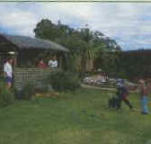 Tambo Lodge - Accommodation Mt Buller
