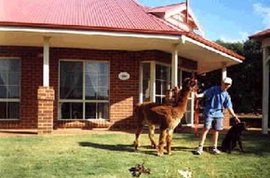 Brilea Cottages - Accommodation Mt Buller 0
