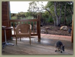 Kangaroo Island Wilderness Resort - Accommodation Mt Buller 1