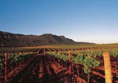 Peppers Guest House Hunter Valley - Accommodation Mt Buller 2