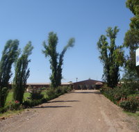 Newell Motor Inn Narrandera  - Accommodation Mt Buller