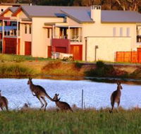 Grand Mercure The Vintage Hunter Valley - Accommodation Mt Buller
