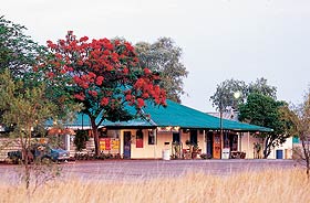 Wauchope Hotel And Roadhouse - Accommodation Mt Buller 0