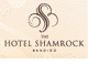 The Hotel Shamrock - Accommodation Mt Buller
