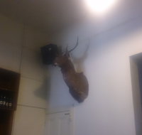 Union Hotel - Accommodation Mt Buller