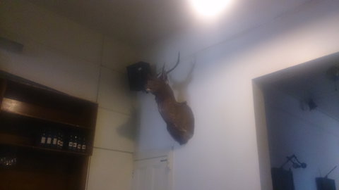 Union Hotel - Accommodation Mt Buller 0