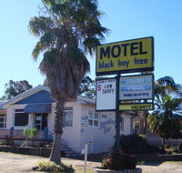 Blackboy Tree Motel - Accommodation Mt buller