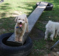 Beenleigh Pet Motel - Accommodation Mt Buller