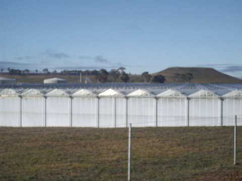 Guyra Motor INN - Accommodation Mt buller 7