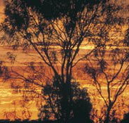 Tilmouth Well - Accommodation Mt buller