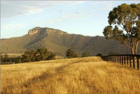 Book Broke Accommodation Vacations Accommodation Mt Buller Accommodation Mt Buller