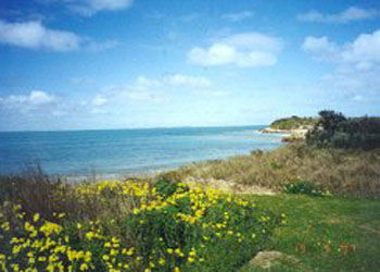 St Andrews Boulevard Apartments - Accommodation Mt Buller 1