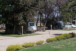 Paringa Caravan Park - Accommodation Mt Buller 0