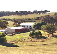 Sun Valley Eco Farm - Accommodation Mt Buller