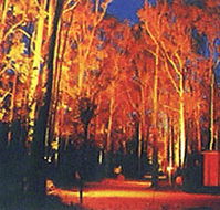 Dwellingup Chalet amp Caravan Park - Accommodation Mt Buller