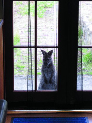 VARUNA - Accommodation Mt Buller 4