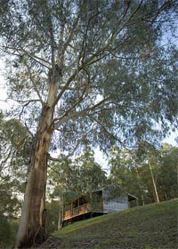 Ada VIC Accommodation Mt Buller