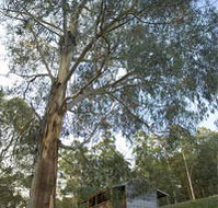 Outpost Restaurant - Accommodation Mt Buller
