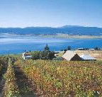 Marions Vineyard  - Accommodation Mt Buller