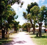 Bathers Paradise Caravan Park - Accommodation Mt Buller