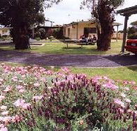 Brigadoon Holiday Units - Accommodation Mt Buller
