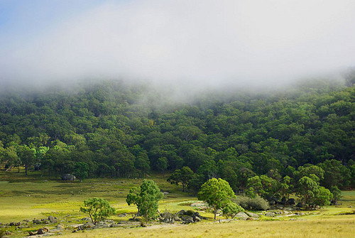 Yellow Dam NSW Accommodation Mt Buller