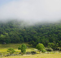 Tor Cottage at Anketell Forest - Accommodation Mt Buller