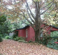 Turkeys Nest Rainforest Cottage - Accommodation Mt Buller
