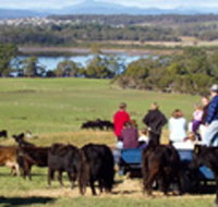 Bonny Brae - Accommodation Mt Buller