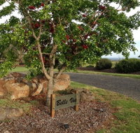Belle Vue Studio - Accommodation Mt Buller