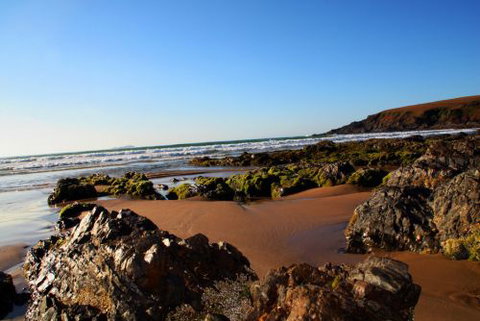 ArtHOUSE Beachfront Accommodation - Accommodation Mt Buller 8