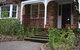 Leura Camellias - thumb 0